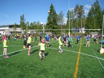 Tiikerit.